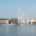 DSC_8975.jpg